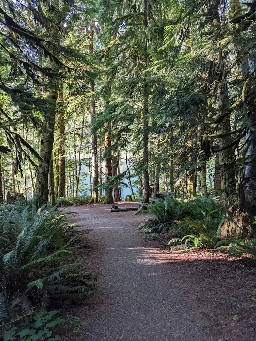 Fairholme Campground Picture 6