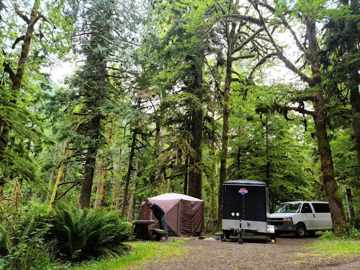 Fairholme Campground Picture 9