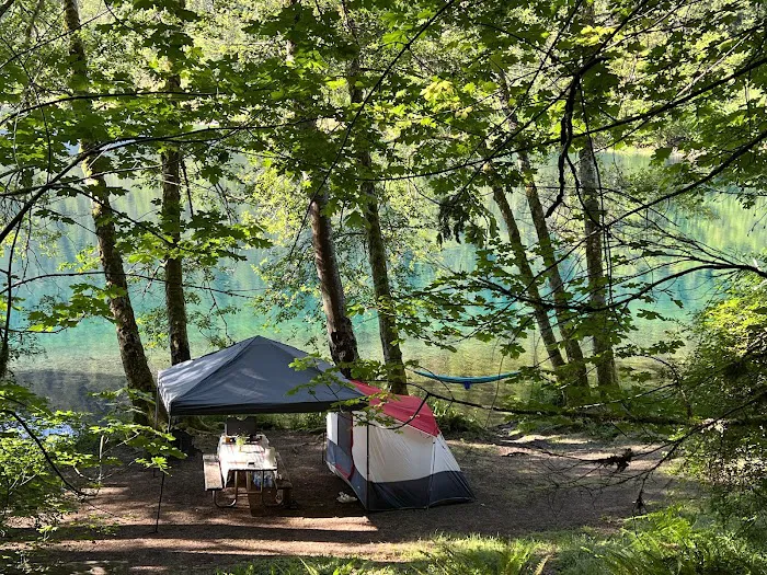 Fairholme Campground Picture 8