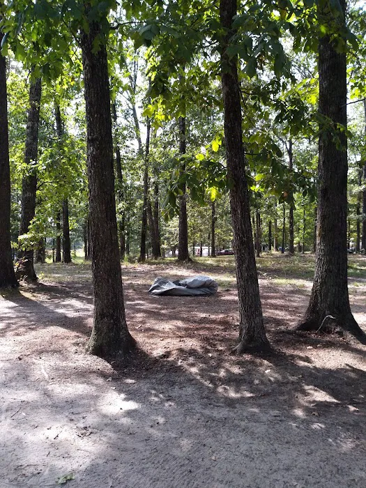 Lazy Dans RV Park Picture 3