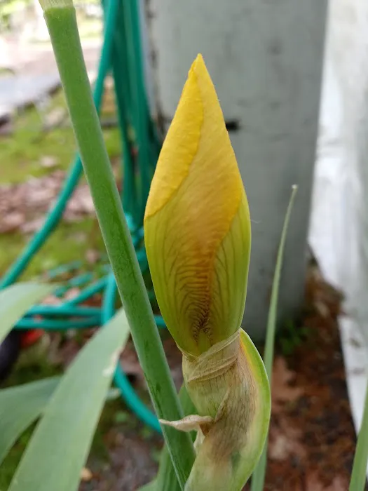 Lazy Dans RV Park Picture 5