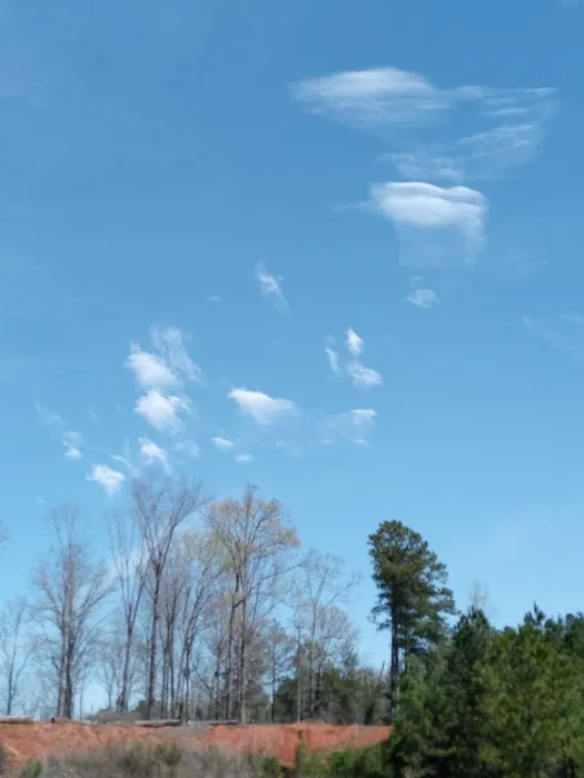 Lazy Dans RV Park Picture 4