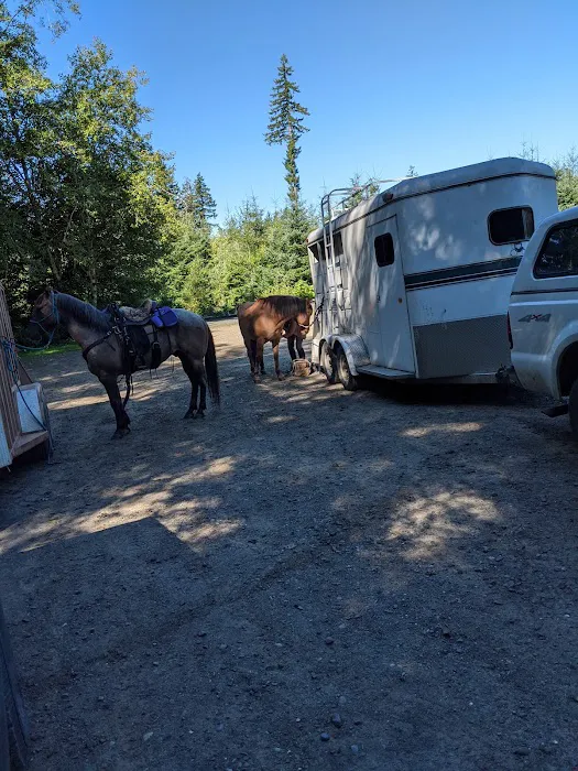Sadie Creek Campground Picture 3