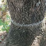 Montgomery Regency Mobile Home