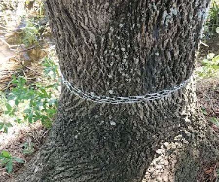 Montgomery Regency Mobile Home