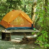 Sol Duc Rainforest Retreat ico