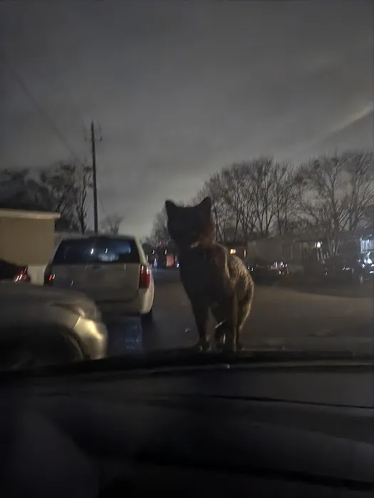 Southern Villa Manufactured Home Community Picture 7