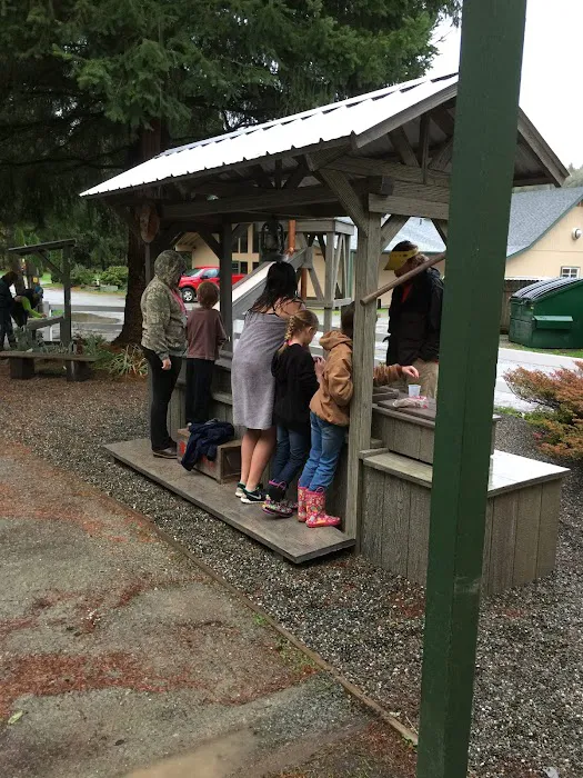 Burlington / Anacortes KOA Holiday Picture 10