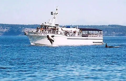 Burlington / Anacortes KOA Holiday Picture 7