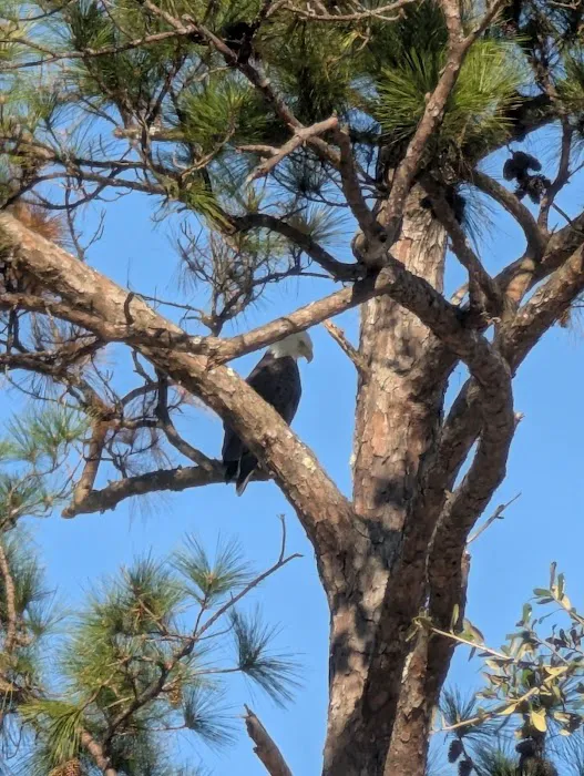 Legacy RV Resort Picture 8