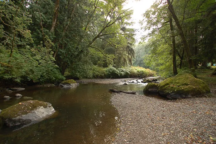 Friday Creek Campground Picture 6