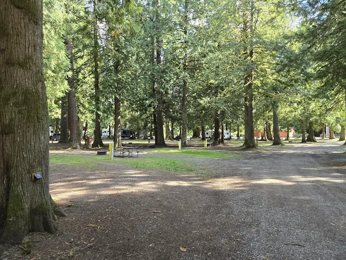 Friday Creek Campground Picture 8