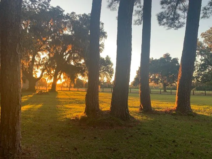 McIntosh Manor RV Park and Retreat Picture 8