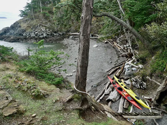 Lummi Island Campground Picture 3