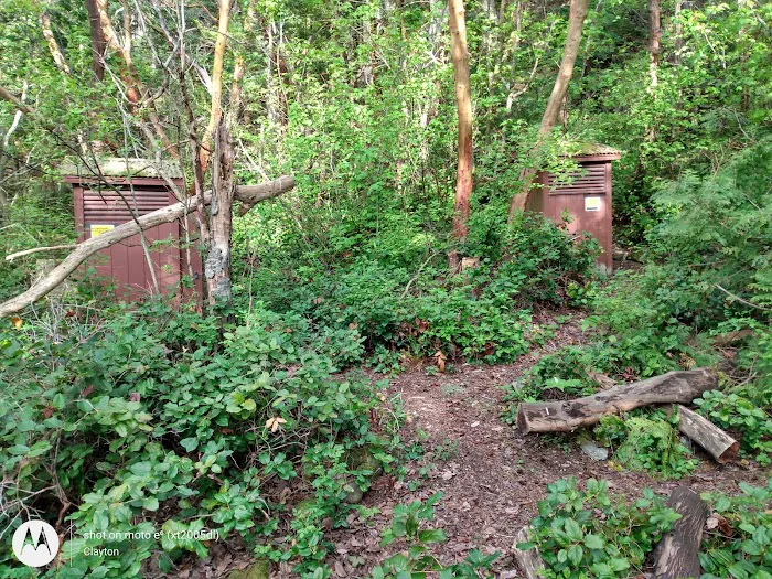 Lummi Island Campground Picture 5
