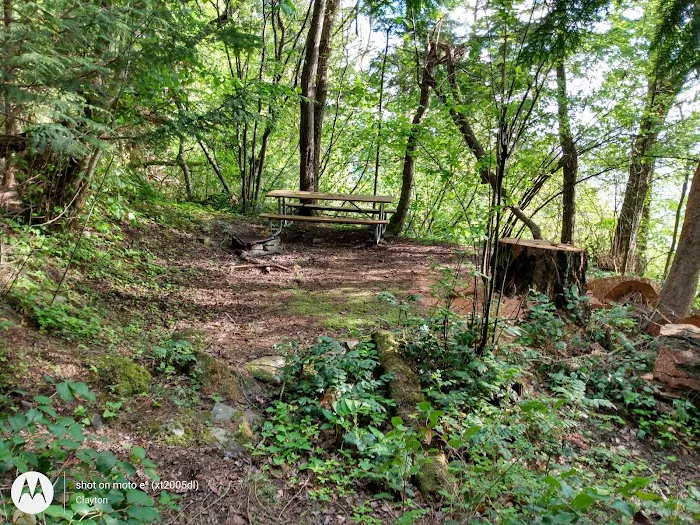 Lummi Island Campground Picture 2