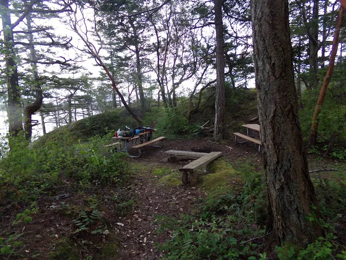 Lummi Island Campground Picture 1