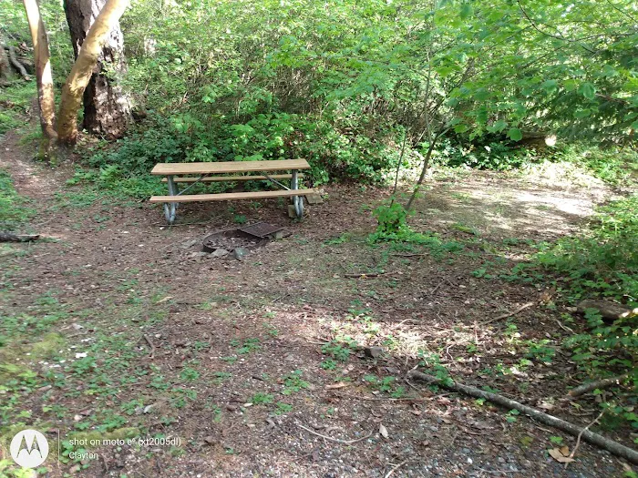Lummi Island Campground Picture 6