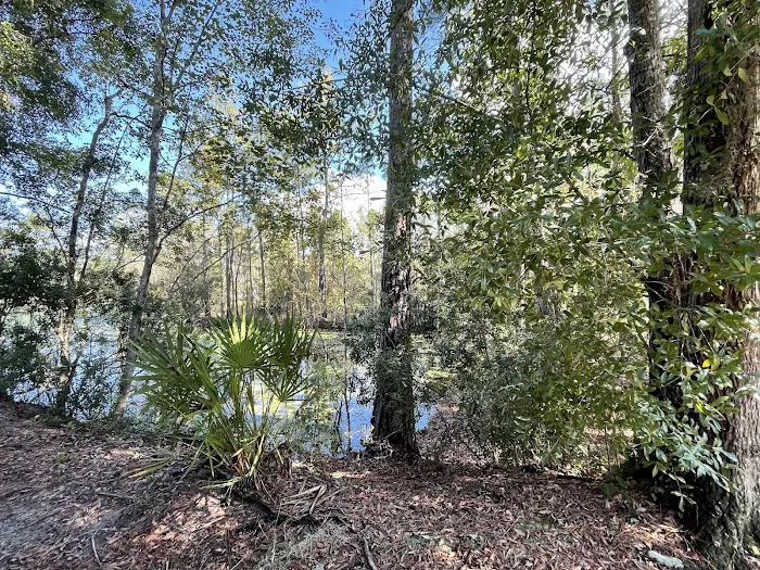 Lake Harmony RV Park Picture 8