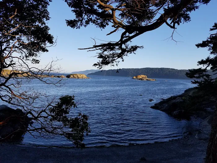 McIntosh Lake RV Park Picture 3