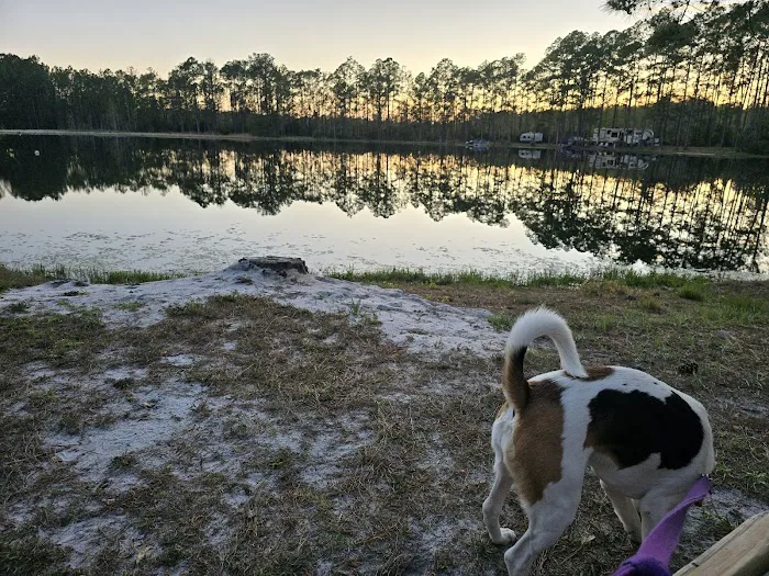 McIntosh Lake RV Park Picture 11