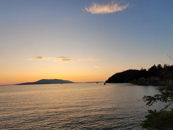 Larrabee State Park Campground Picture 4
