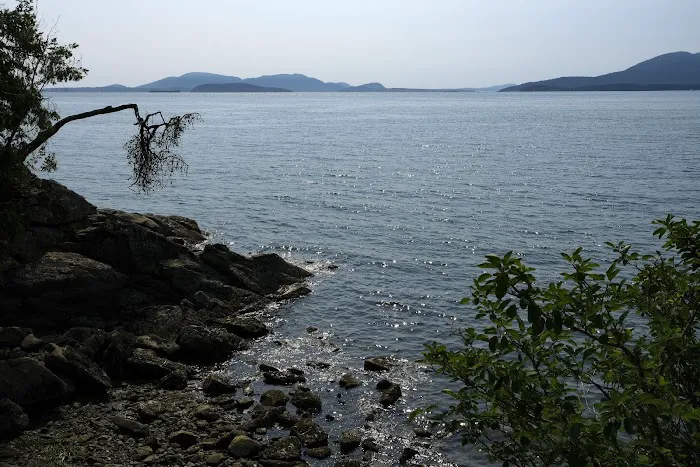 Larrabee State Park Campground Picture 3