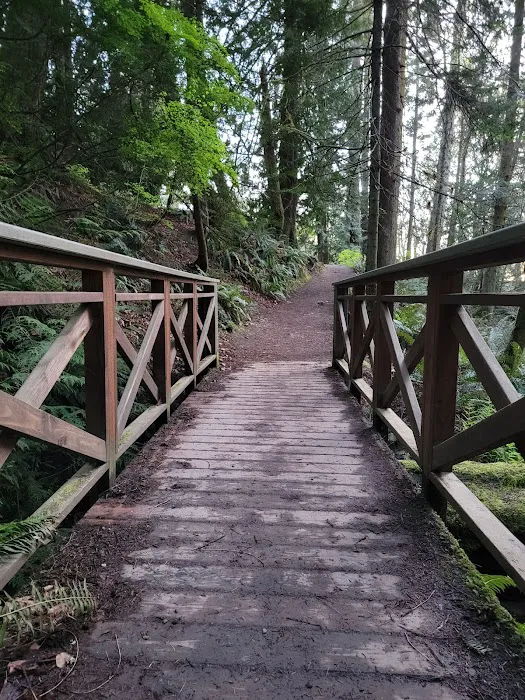 Larrabee State Park Campground Picture 9