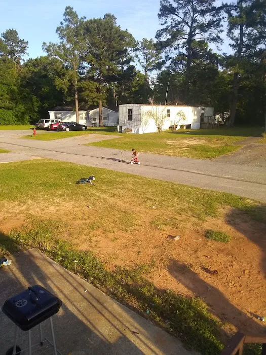 Albany Dunes Picture 2