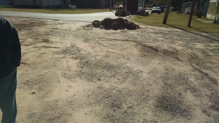 Albany Dunes Picture 9