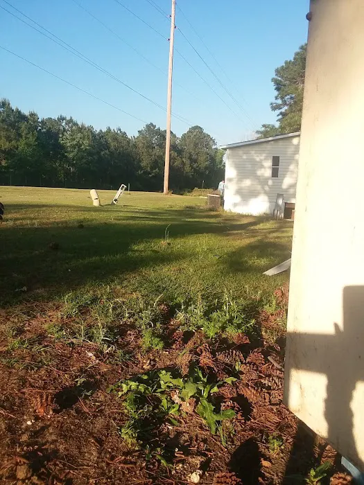 Albany Dunes Picture 4