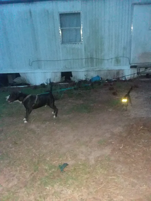 Albany Dunes Picture 3