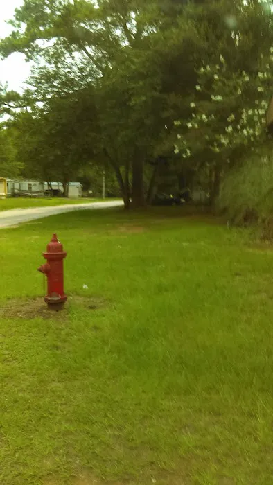 Albany Dunes Picture 8