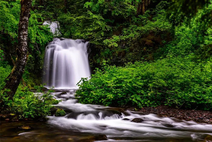 Twin Falls Campground Picture 3