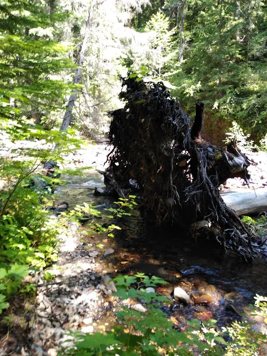Twin Falls Campground Picture 10