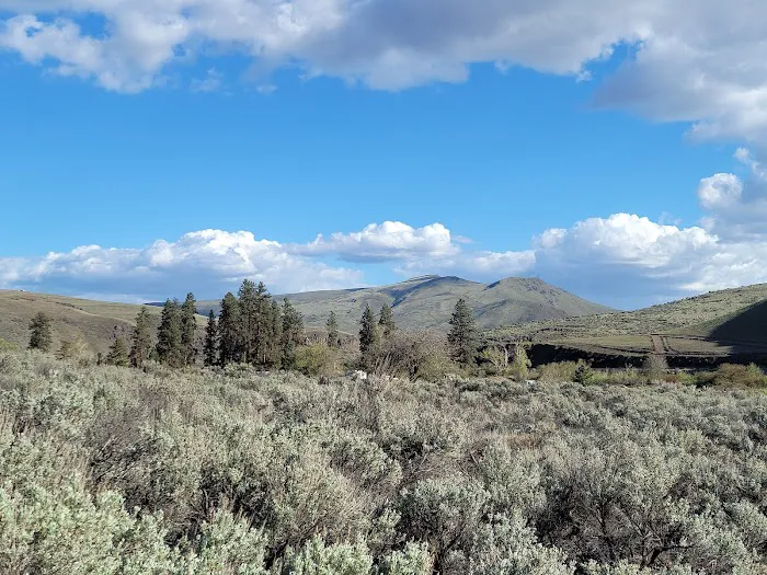 Big Pines Recreation Site Picture 4