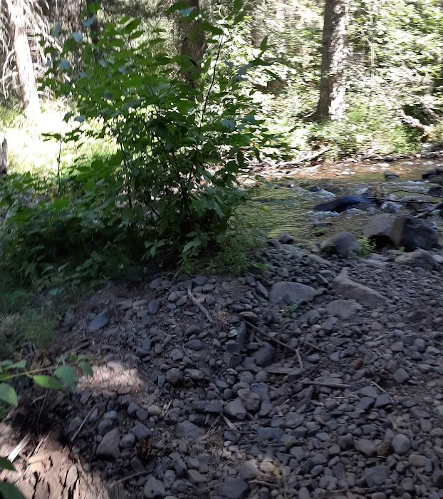 Ahtanum Meadow Campground Picture 3