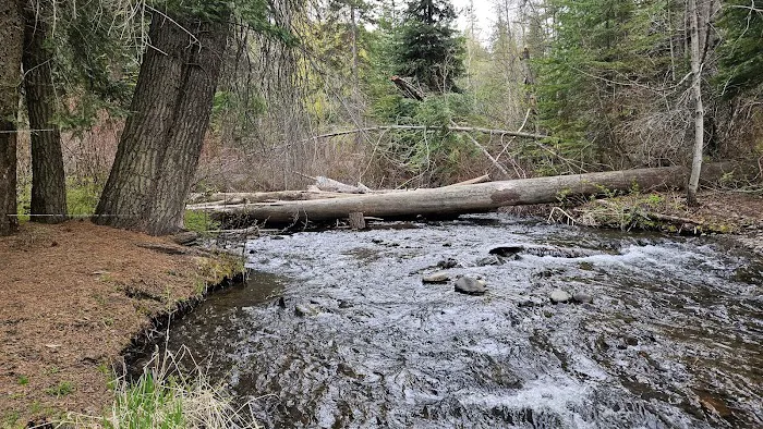 Ahtanum Meadow Campground Picture 1