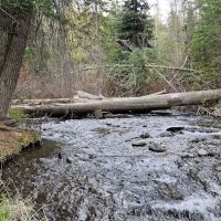 Ahtanum Meadow Campground ico