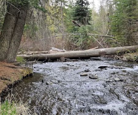 Ahtanum Meadow Campground