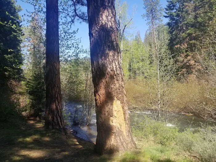 Ahtanum Meadow Campground Picture 8