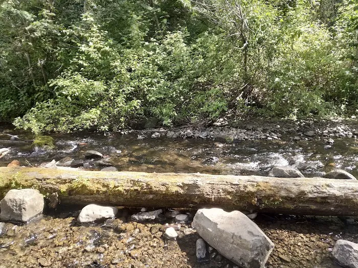 Ahtanum Meadow Campground Picture 9