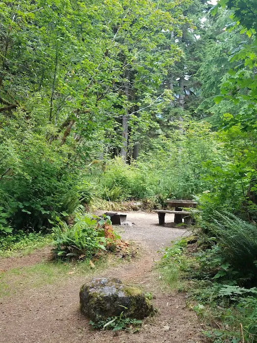 Shannon Creek Campground Picture 6