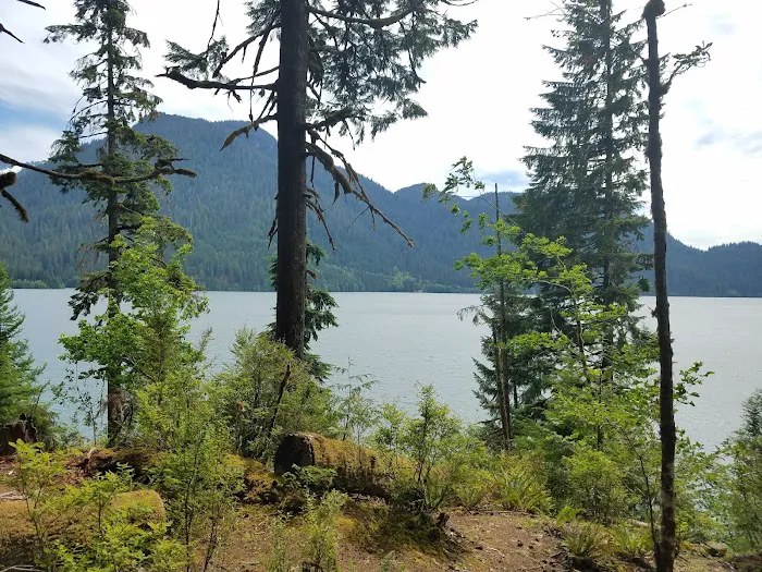 Shannon Creek Campground Picture 3