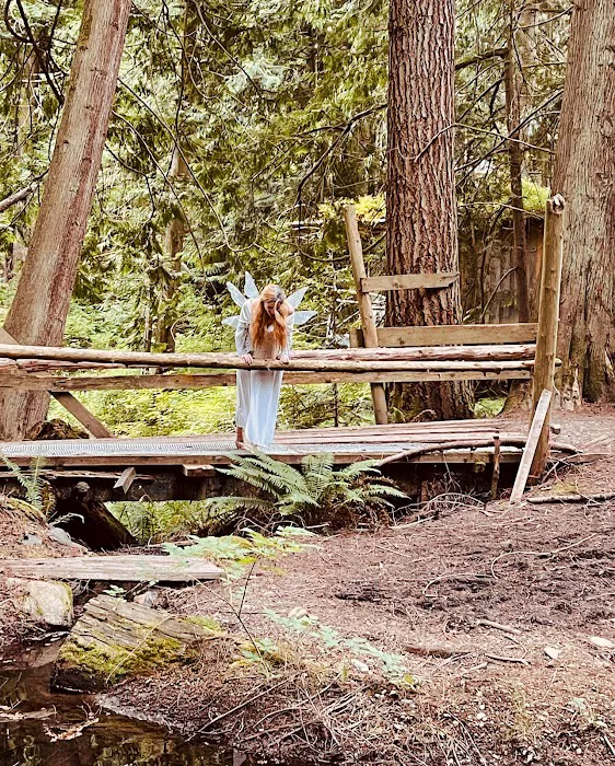 Sunray Shire Picture 6