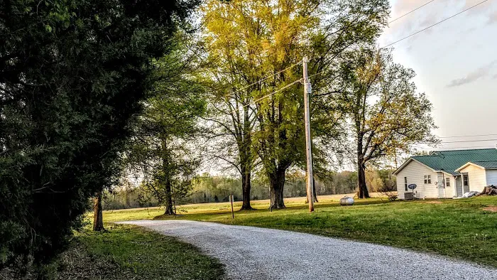 Cross City RV Park Picture 5