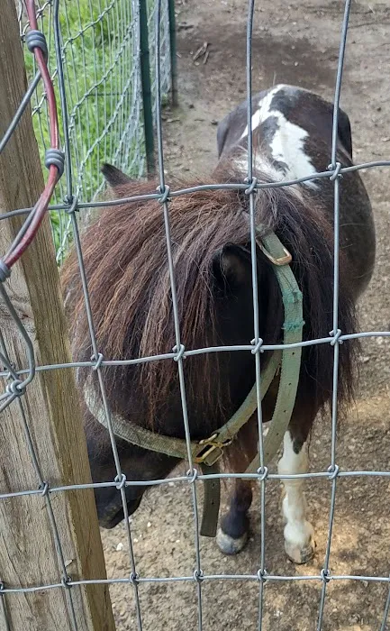 Country Critters Campground & RV Park Picture 9