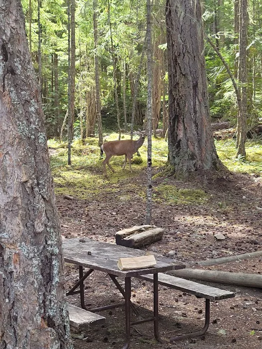 McMillan Campground Picture 3