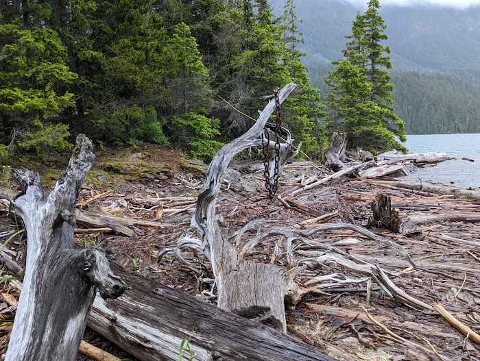 Roland Point Campground Picture 2