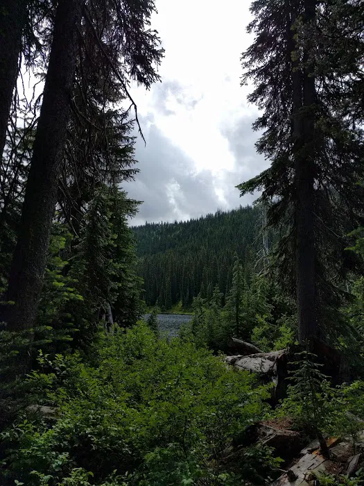 Dagger Lake Campground Picture 5